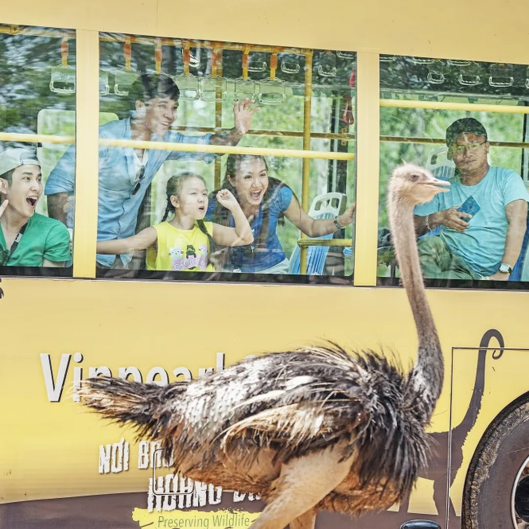 dentamed holidays travel vietnam vinpearl safari phu quoc