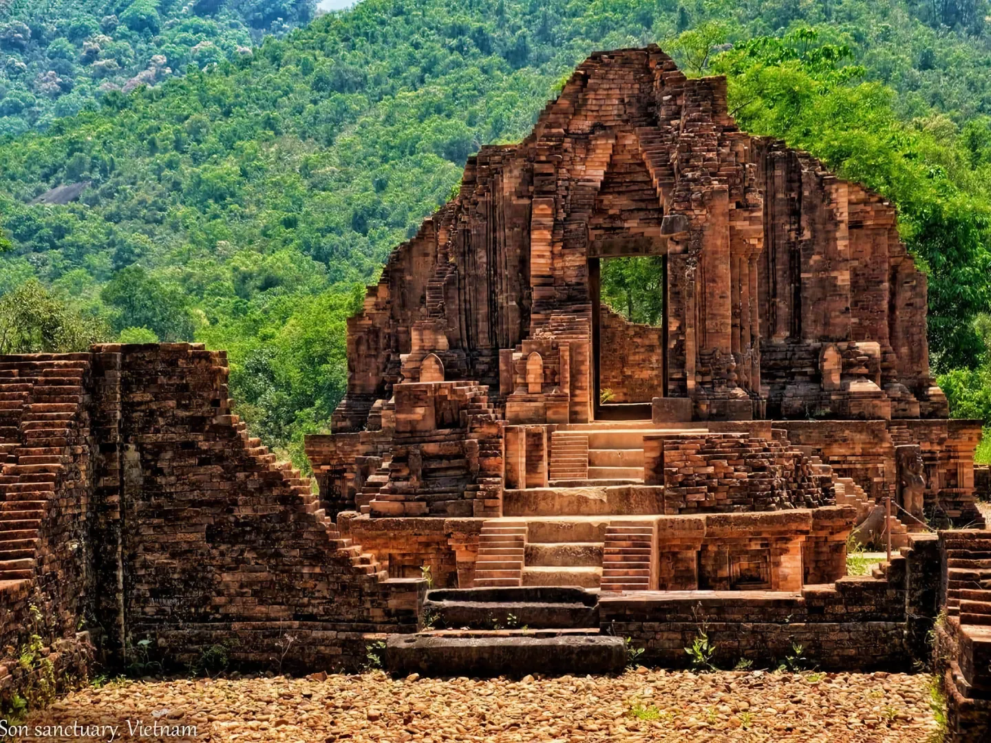  Tropical colourful fish underwater off Cham Island off Hoi An, a popular holiday destination in Vietnam 