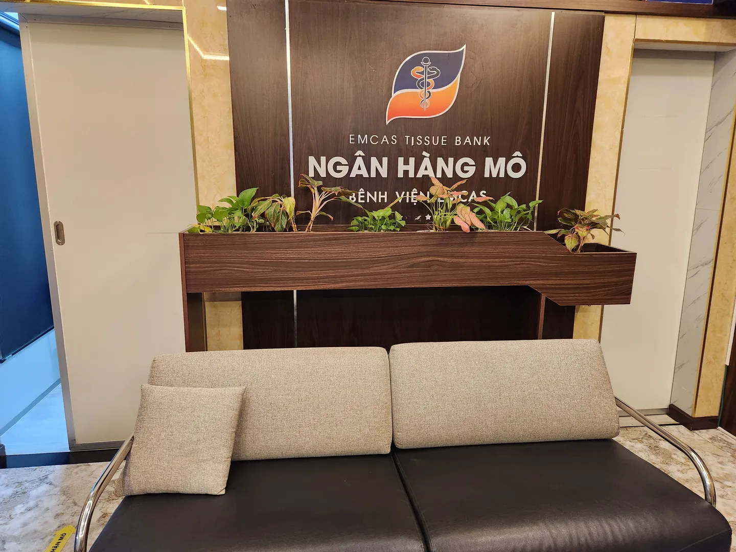 image of the reception at EMCAS Cosmetic Surgery Hospital in Vietnam