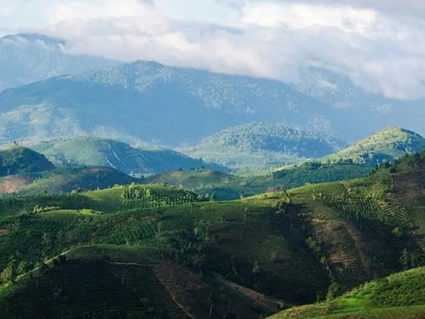  Explore the green landscapes and attractions of Bao Loc 