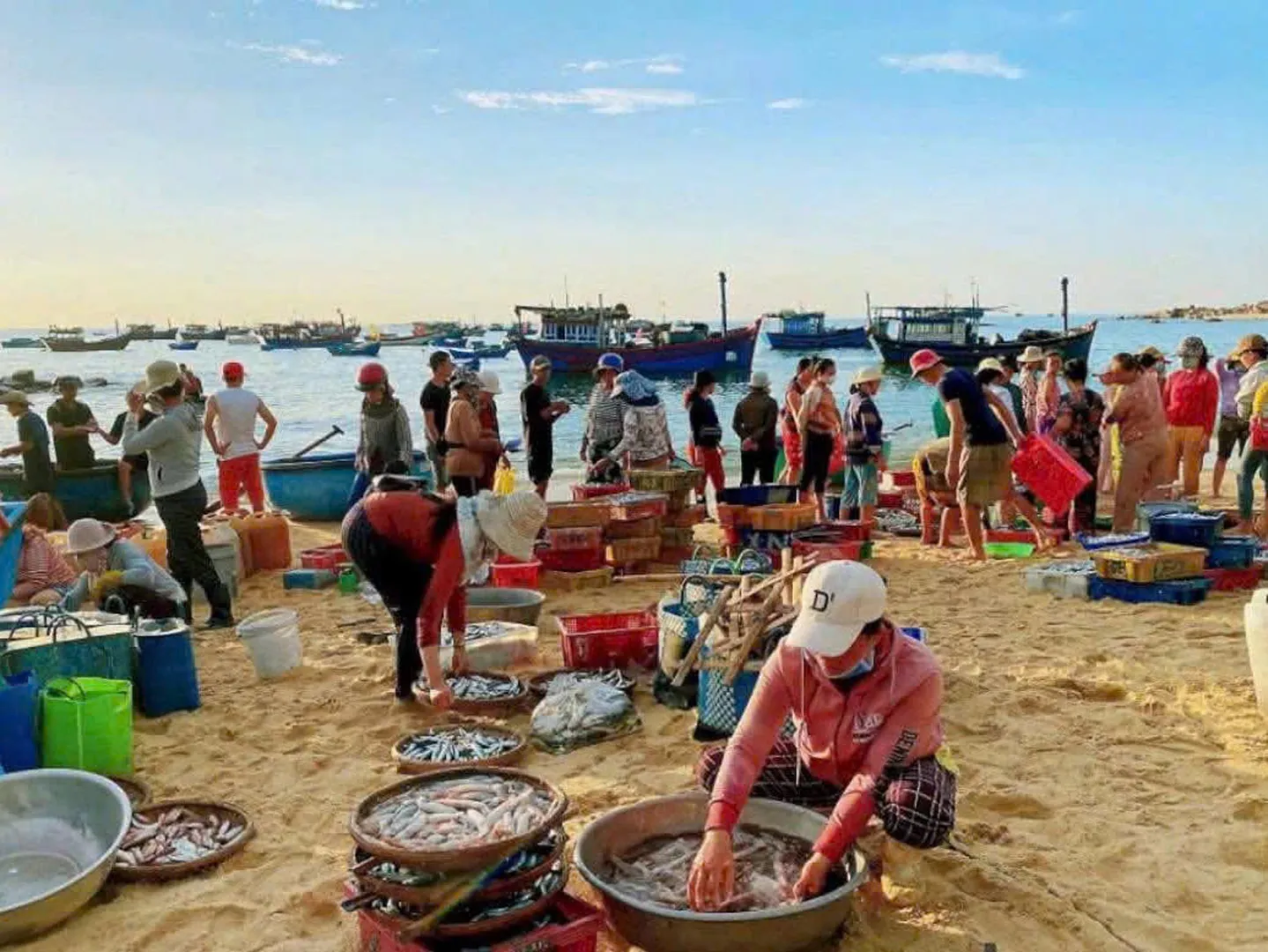  Mui Ne Sand Dunes Tour 