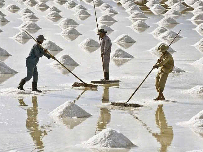  Traditional salt fields in the Ninh Thuan region 