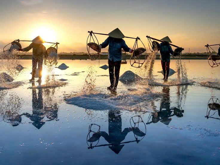  Traditional salt fields in the Ninh Thuan region 