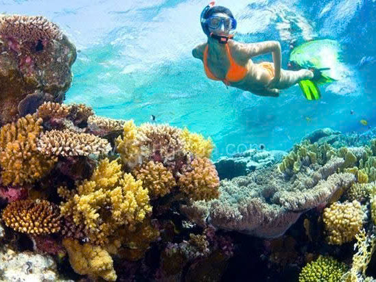  Snorkelling in the clear waters of Vinh Hy Bay 